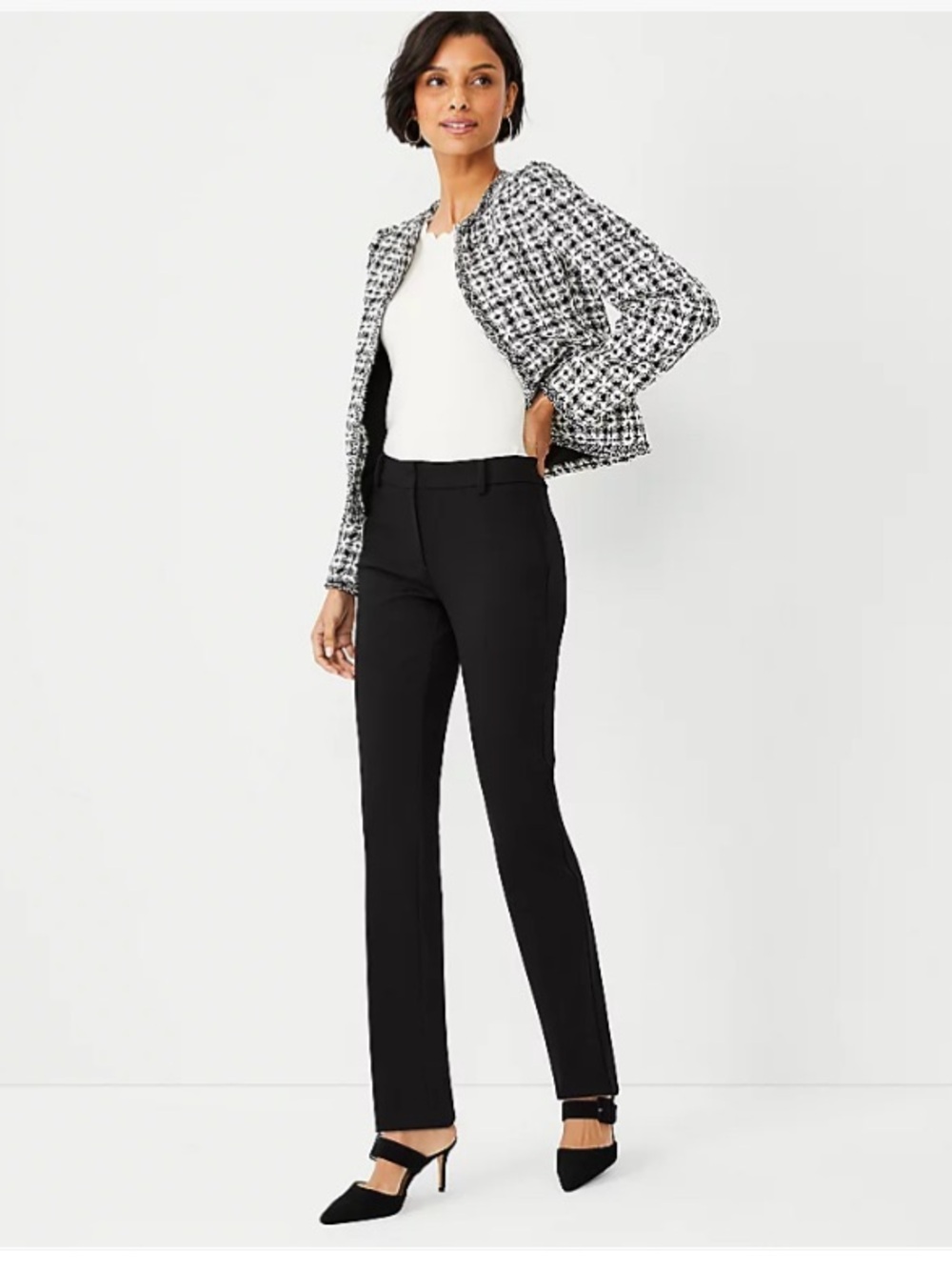 Ann Taylor Sophia pant black